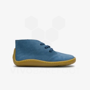 Kids' Vivobarefoot Gobi Addis Juniors Shoes Indigo | IL009DO