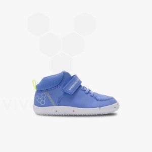 Kids' Vivobarefoot Primus Ludo Hi Preschool Shoes Blue | IL031HT