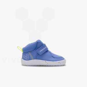 Kids' Vivobarefoot Primus Ludo Hi Toddlers Shoes Blue | IL033FU