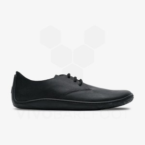 Men's Vivobarefoot Addis Oxford Lifestyle Shoes Black | IL297BA