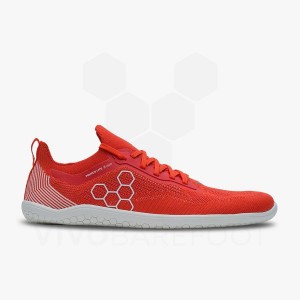 Men's Vivobarefoot Primus Lite Knit Road Running Shoes Red | IL384SZ