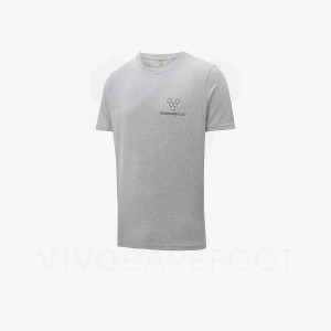 Men's Vivobarefoot Rapanui Naturally Coloured T-shirt T Shirts Grey | IL279TL