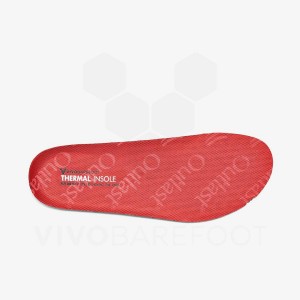 Men's Vivobarefoot Thermal Insoles Red | IL287LQ